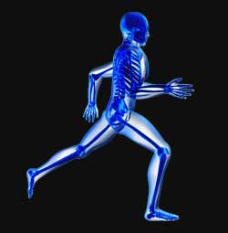 Protein is good for your bones | VPX Sports