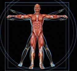 Secret to Building Muscle
