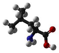 EEA's MOLECULE