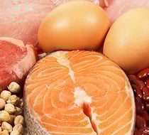 Protein