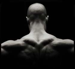 Build massive shoulders