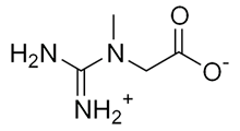 structure creatine