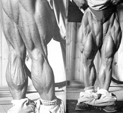 freaky legs
