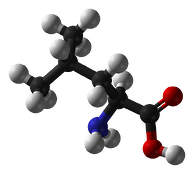 EEA's MOLECULE