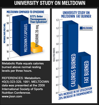 University Study on Meltdown